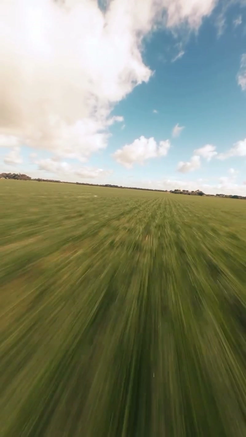Drifting with the wind across the grasslands
